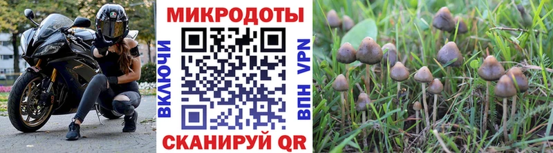 Галлюциногенные грибы Cubensis  Купить где  Семикаракорск 